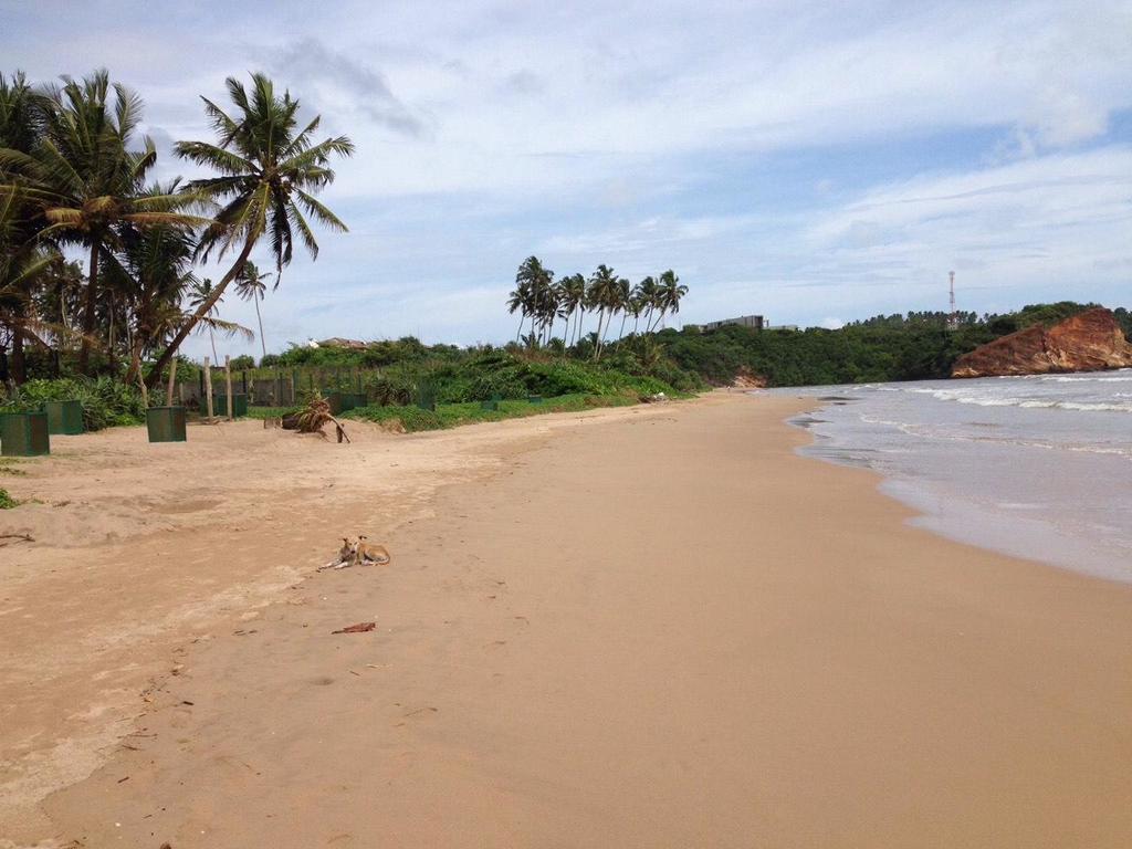 Relax Beach Resort Weligama Buitenkant foto